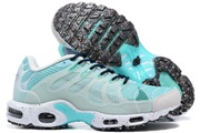Air Max Terrascape Plus 8989-21